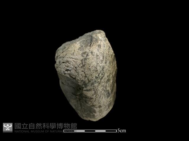 Accession Number:PTP-2014-238 Collection Image, Figure 1, Total 2 Figures