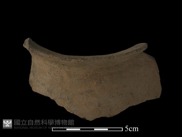 陶片藏品圖，第3張