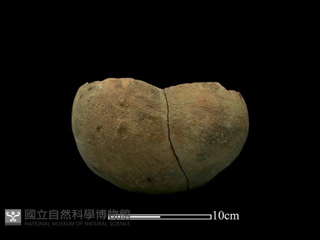 陶罐藏品圖，第2張