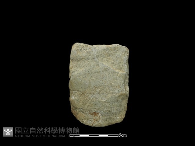 斧鋤形器藏品圖，第2張