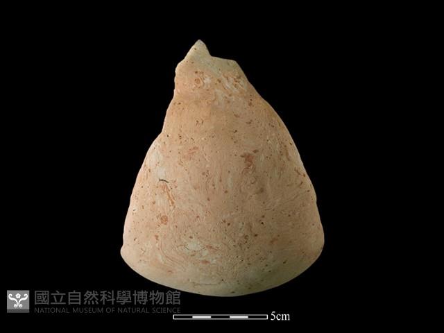 陶罐藏品圖，第3張