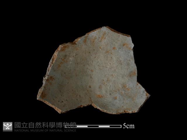 陶片藏品圖，第2張