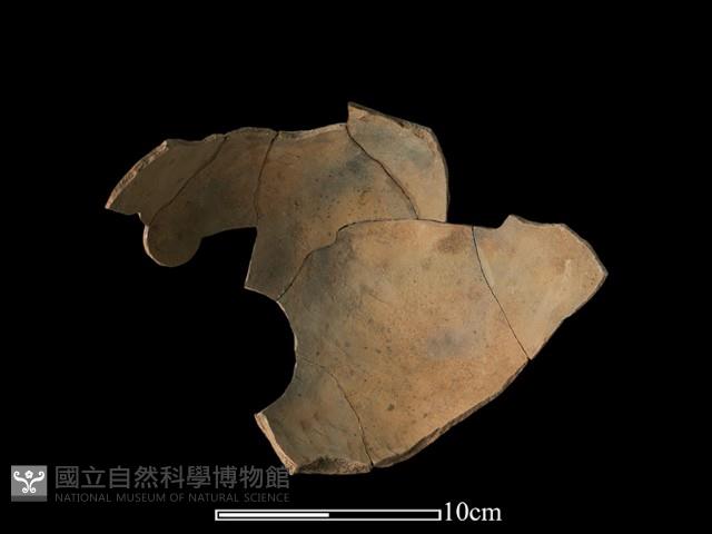 陶罐藏品圖，第1張