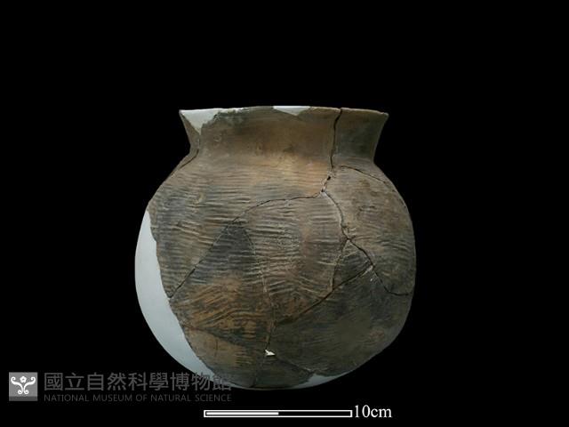 陶罐藏品圖，第3張