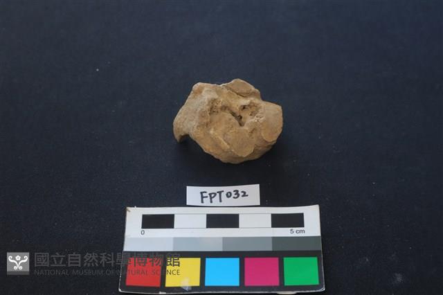 鹿骨藏品圖，第2張
