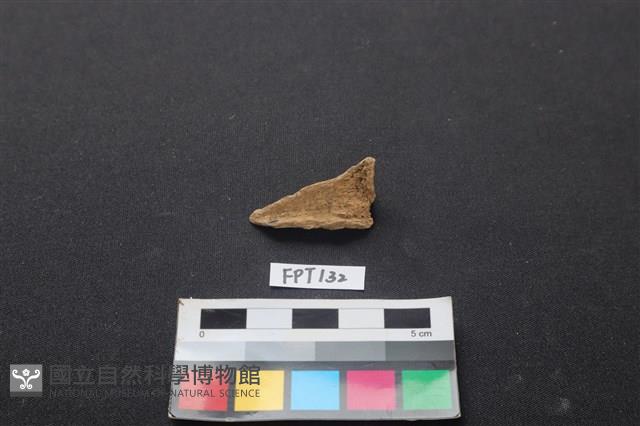 偶蹄類動物骨藏品圖，第2張