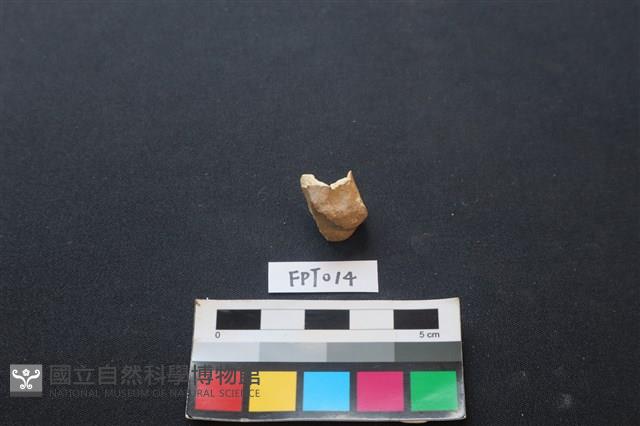 鹿骨藏品圖，第2張