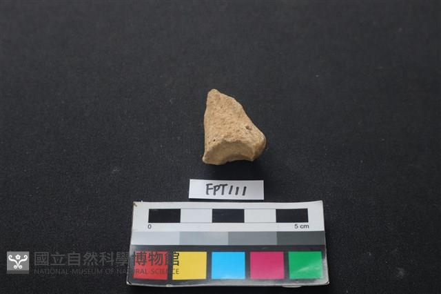 鹿骨藏品圖，第2張