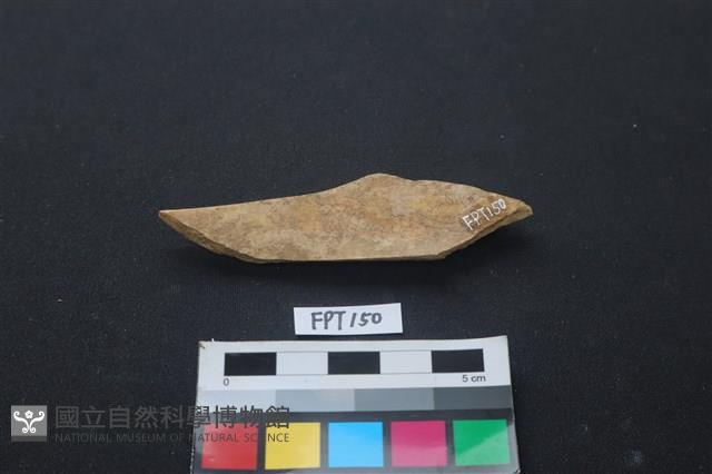 偶蹄類動物骨藏品圖，第2張