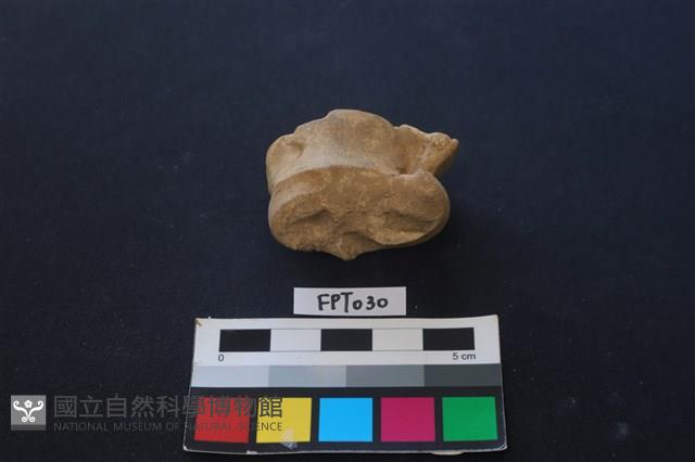 鹿骨藏品圖，第2張