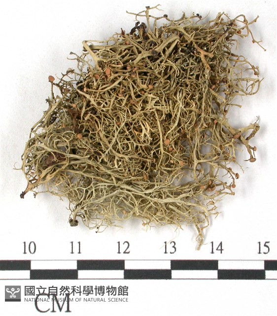 登錄號:L00001842藏品圖，第3張