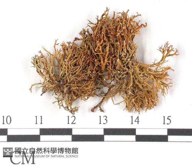 登錄號:L00001939藏品圖，第3張