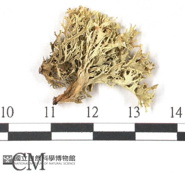 登錄號:L00001080藏品圖，第3張