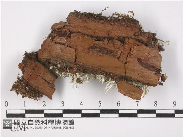 登錄號:L00002980藏品圖，第3張