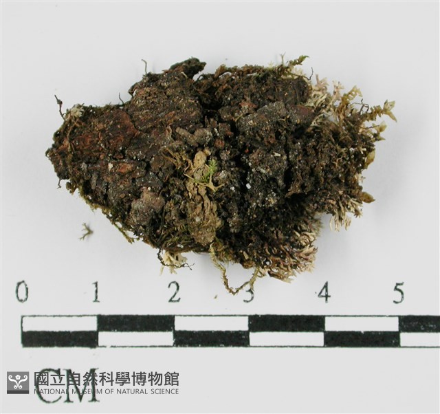 登錄號:L00000963藏品圖，第3張