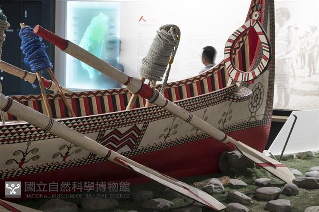 槳藏品圖，第1張