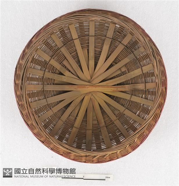 謝籃-蓋藏品圖，第2張