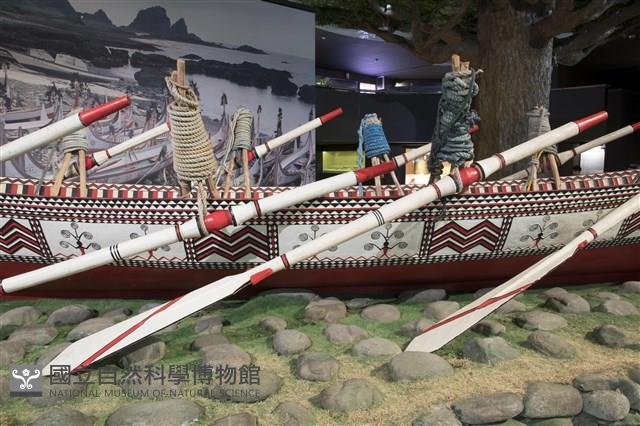 槳藏品圖，第1張