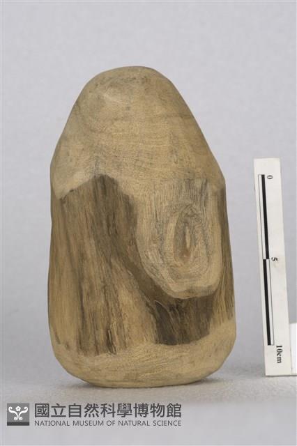 陀螺藏品圖，第1張