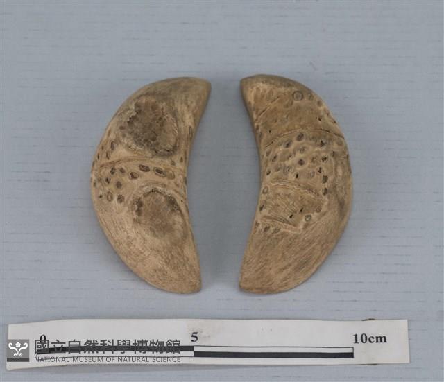 筊杯藏品圖，第1張