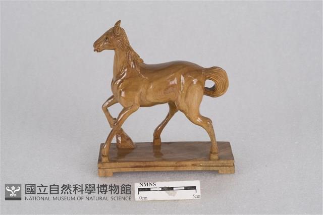 馬藏品圖，第2張