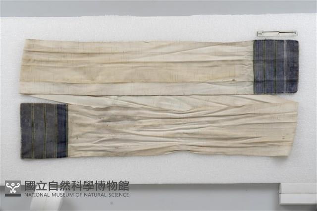 丁字褲藏品圖，第2張