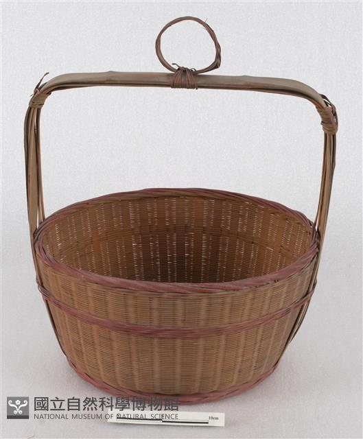 謝籃藏品圖，第2張