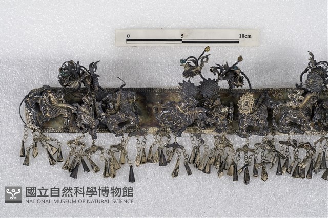 頭花藏品圖，第2張