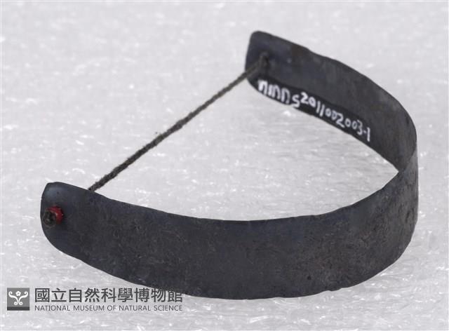 手環藏品圖，第2張