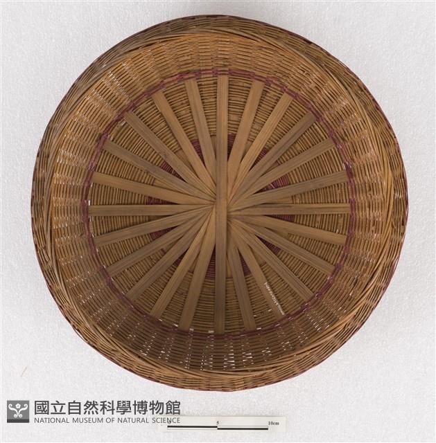 謝籃-蓋藏品圖，第2張