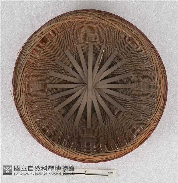 謝籃-蓋藏品圖，第2張