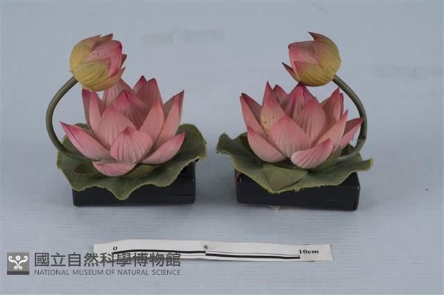 蓮花燈藏品圖，第1張