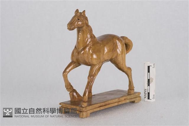 馬藏品圖，第1張