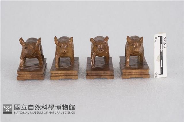 豬藏品圖，第1張