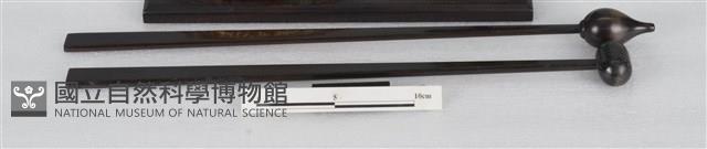 木槌藏品圖，第1張