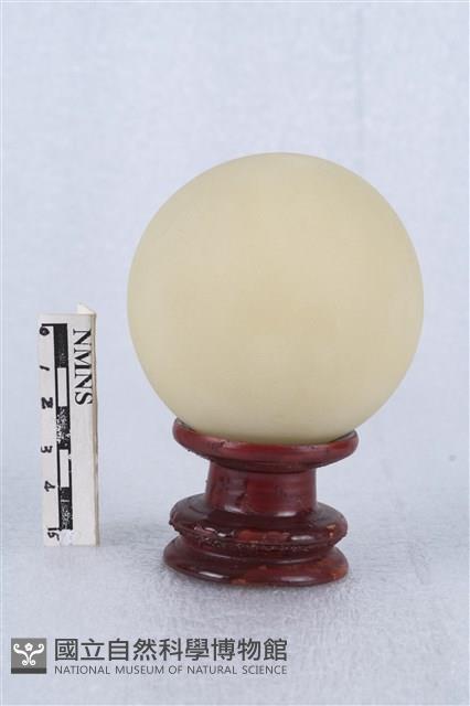 夜明珠藏品圖，第1張