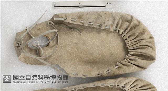 鞋藏品圖，第1張