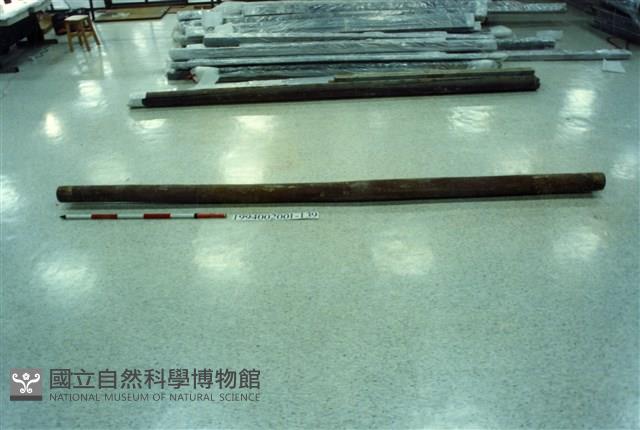 屋宅木構件藏品圖，第1張