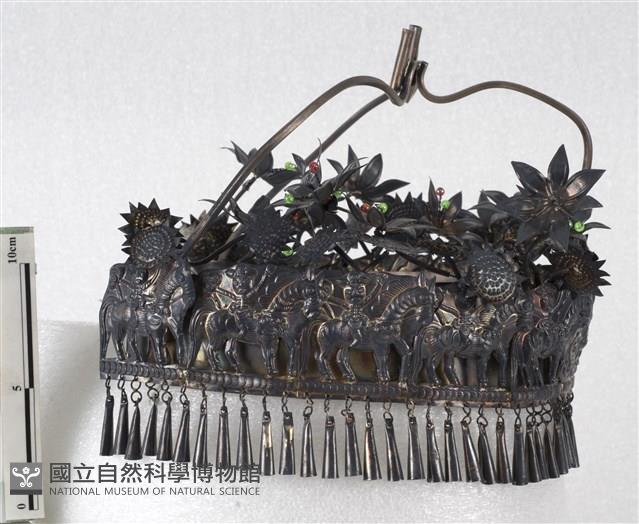 頭圍藏品圖，第1張