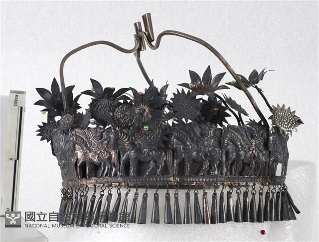 頭圍藏品圖，第3張