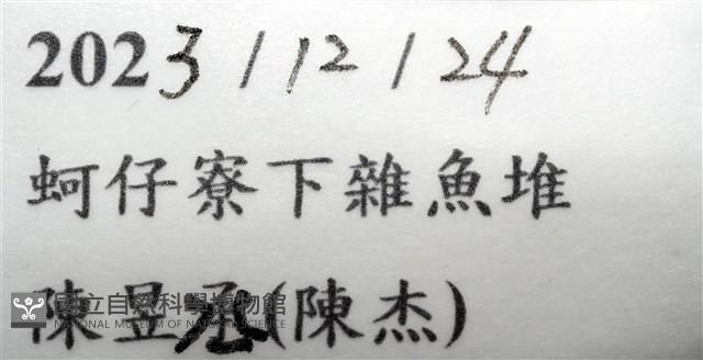 未知種尖甲水虱藏品圖，第15張