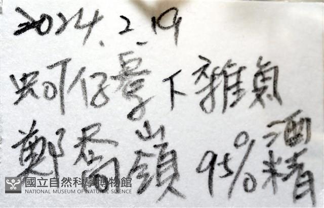 強壯蛛形蟹藏品圖，第15張