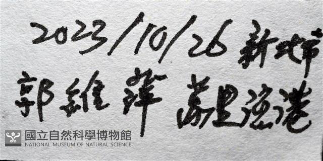 未知種花瘤海星 sp. 01藏品圖，第15張