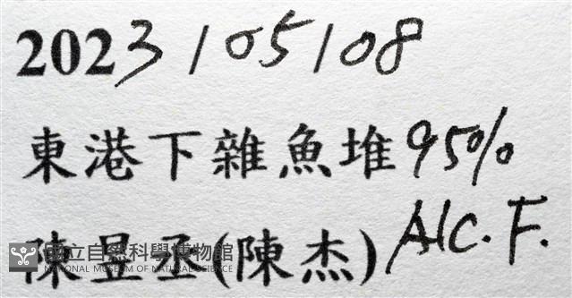 休氏聲蟹藏品圖，第15張