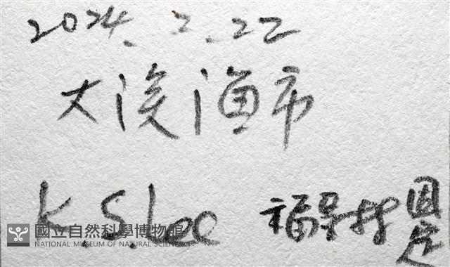 茗荷藏品圖，第15張