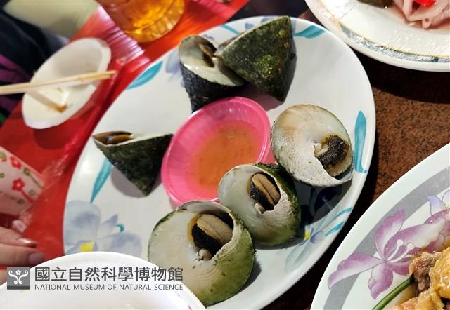 銀塔鐘螺藏品圖，第15張