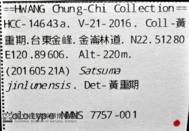 金崙栗蝸藏品圖，第15張