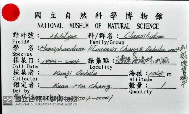 利稻煙管蝸牛藏品圖，第15張