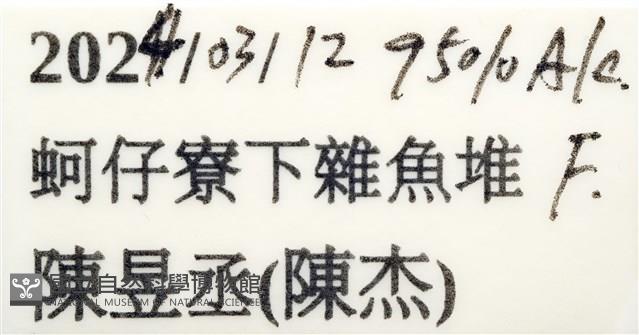 相模蟳藏品圖，第15張