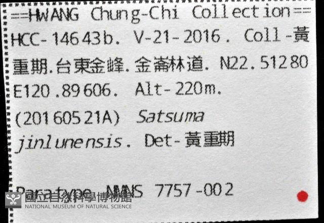 金崙栗蝸藏品圖，第15張